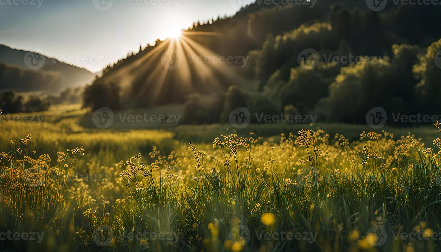 Sunrise over a Lush Meadow with Mountain in the Background photo