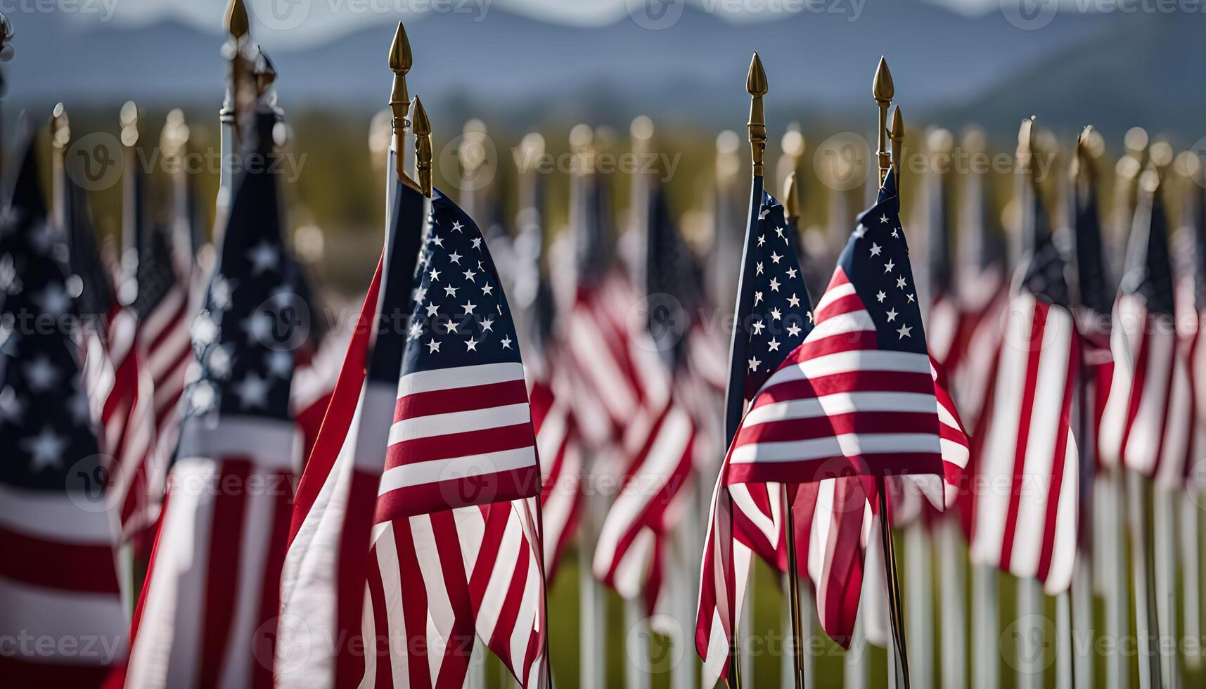 Field of Flags photo