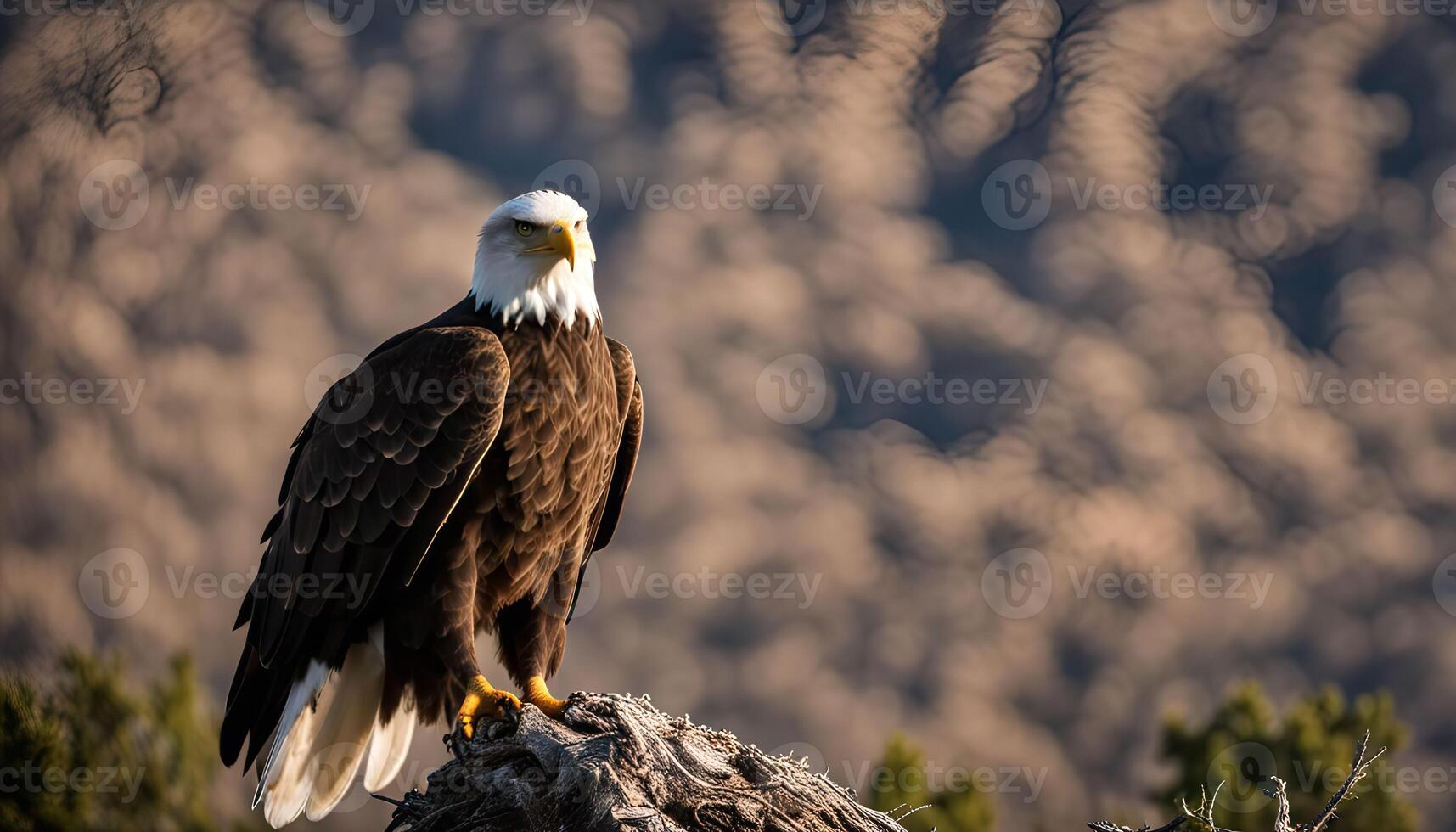 Majestic Bald Eagle in a Mountainous Landscape photo
