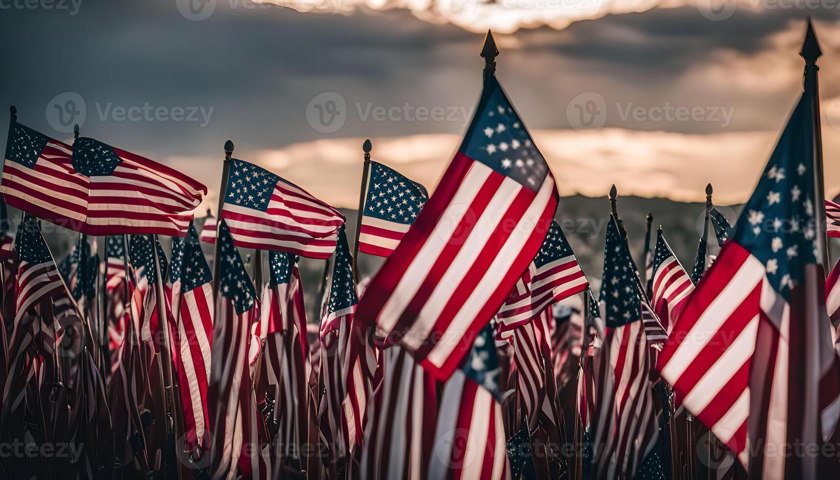 A Field of American Flags photo