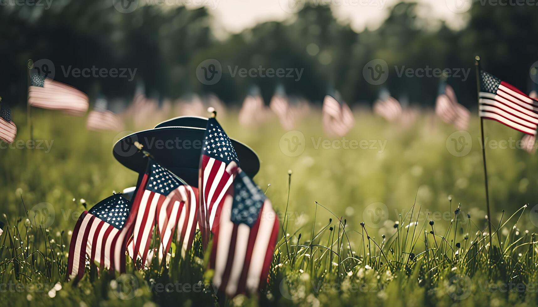 American Flags in a Field photo
