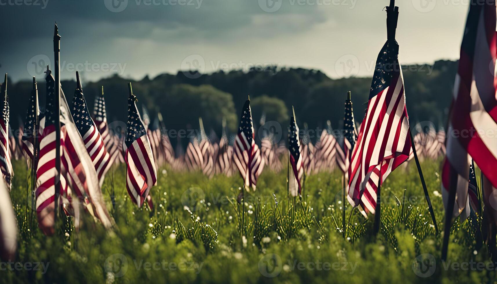 Field of Flags photo