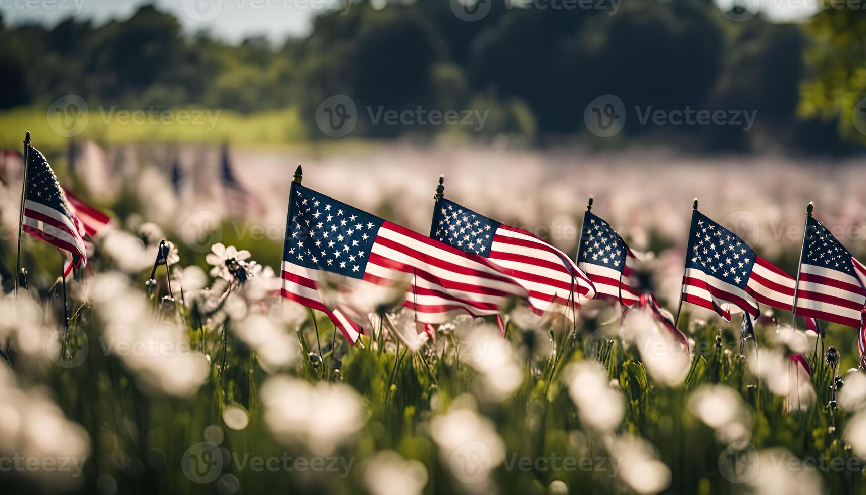 American Flags in a Field photo