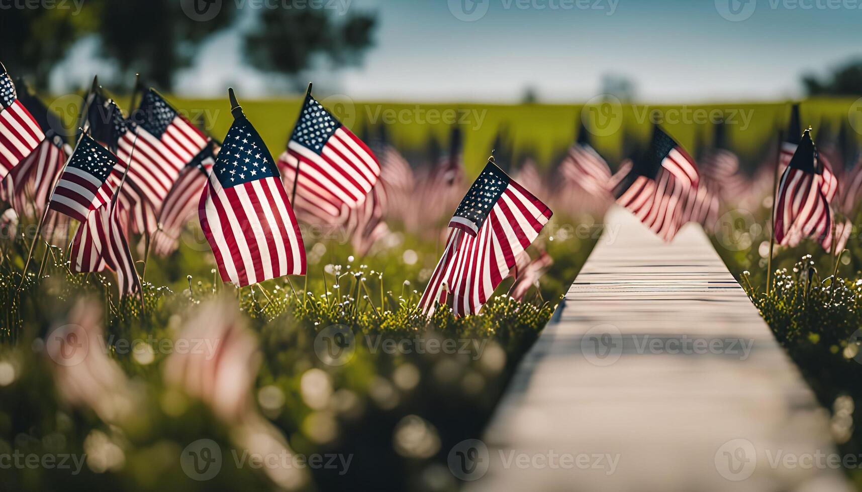 American Flags Field photo