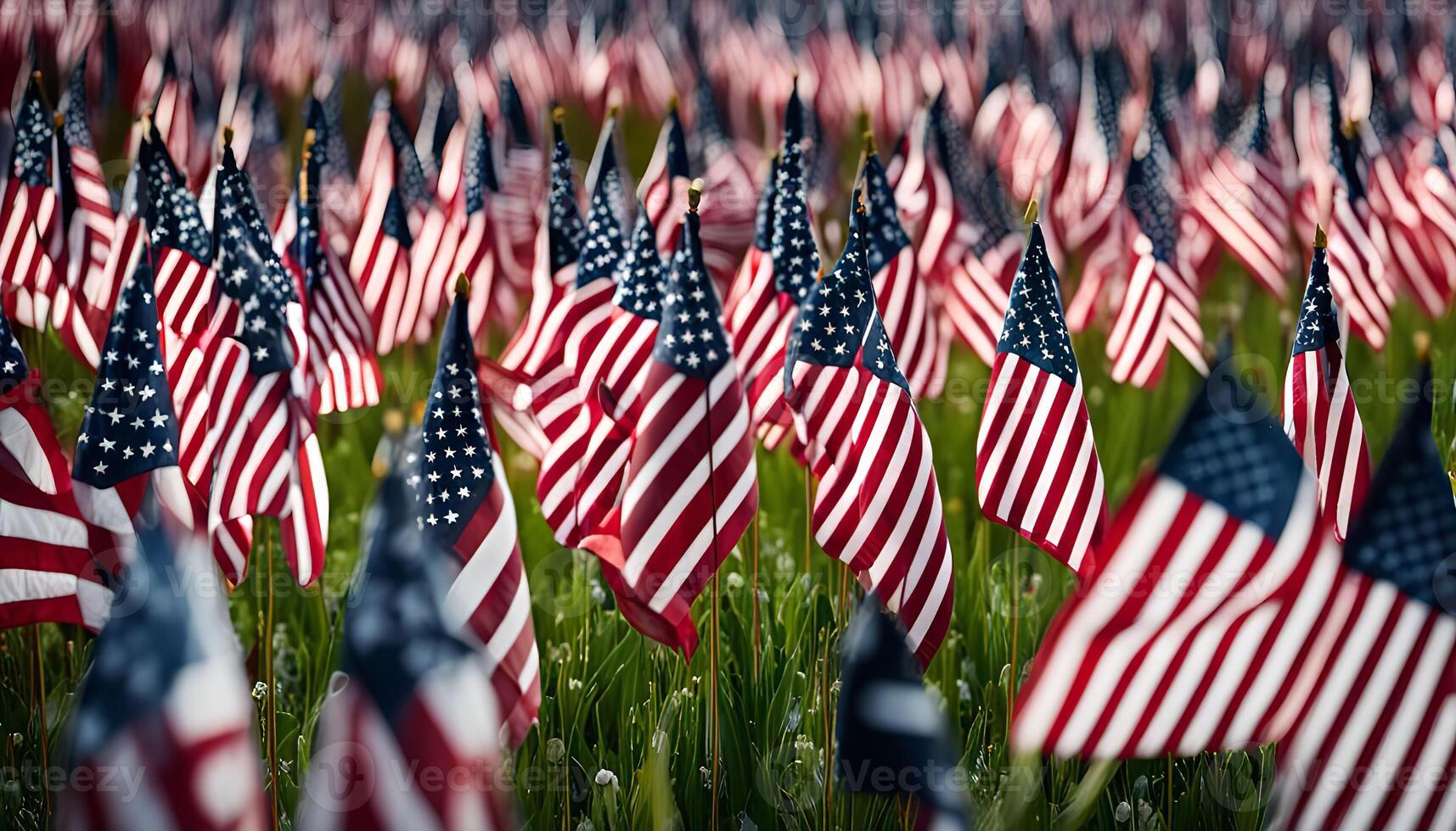 A Field of American Flags photo