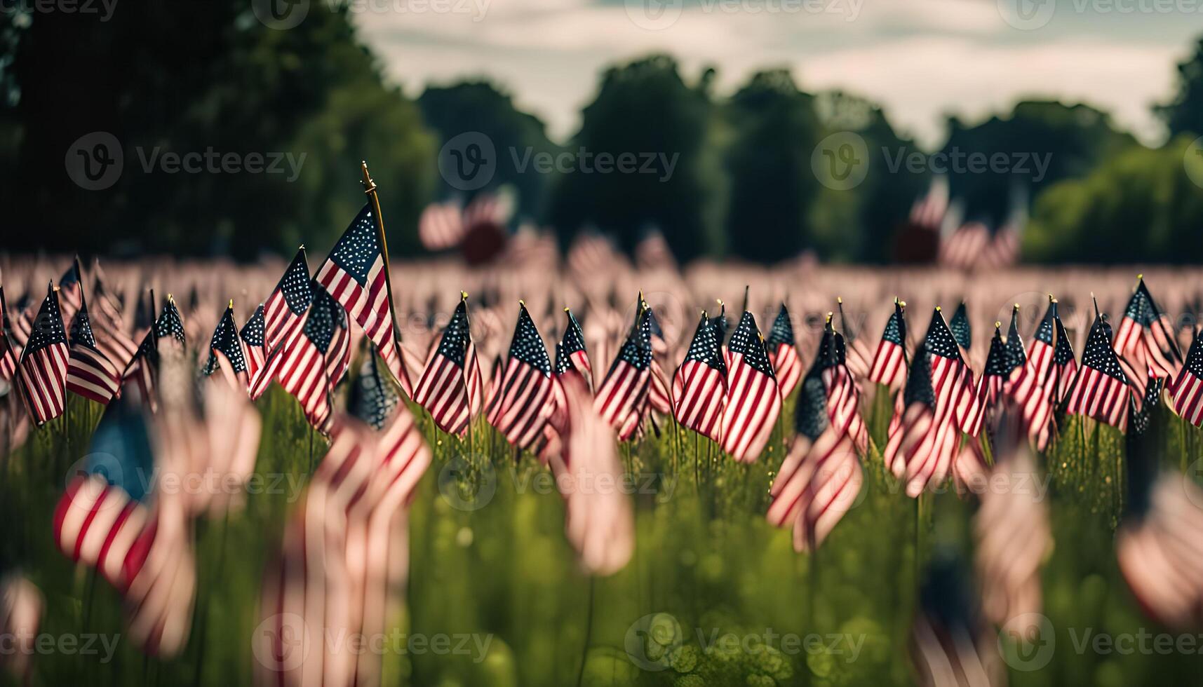Field of American Flags photo