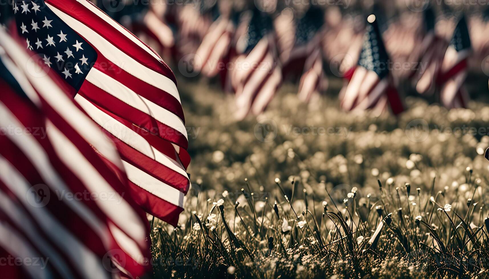 American Flags in Grass photo
