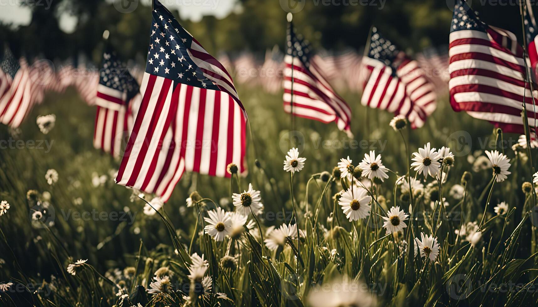 Patriotic Field of Flags photo