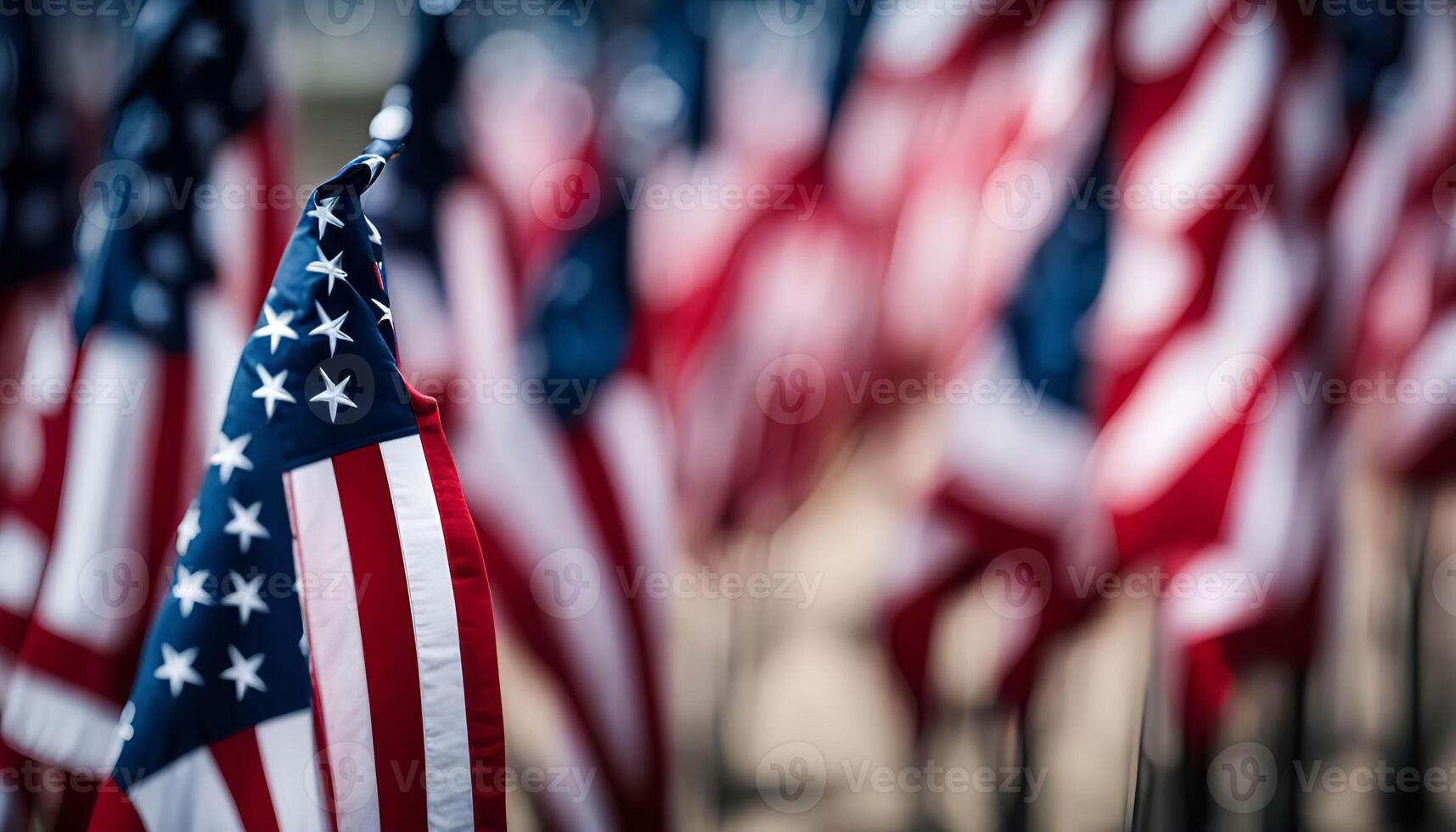 American Flags in a Row photo