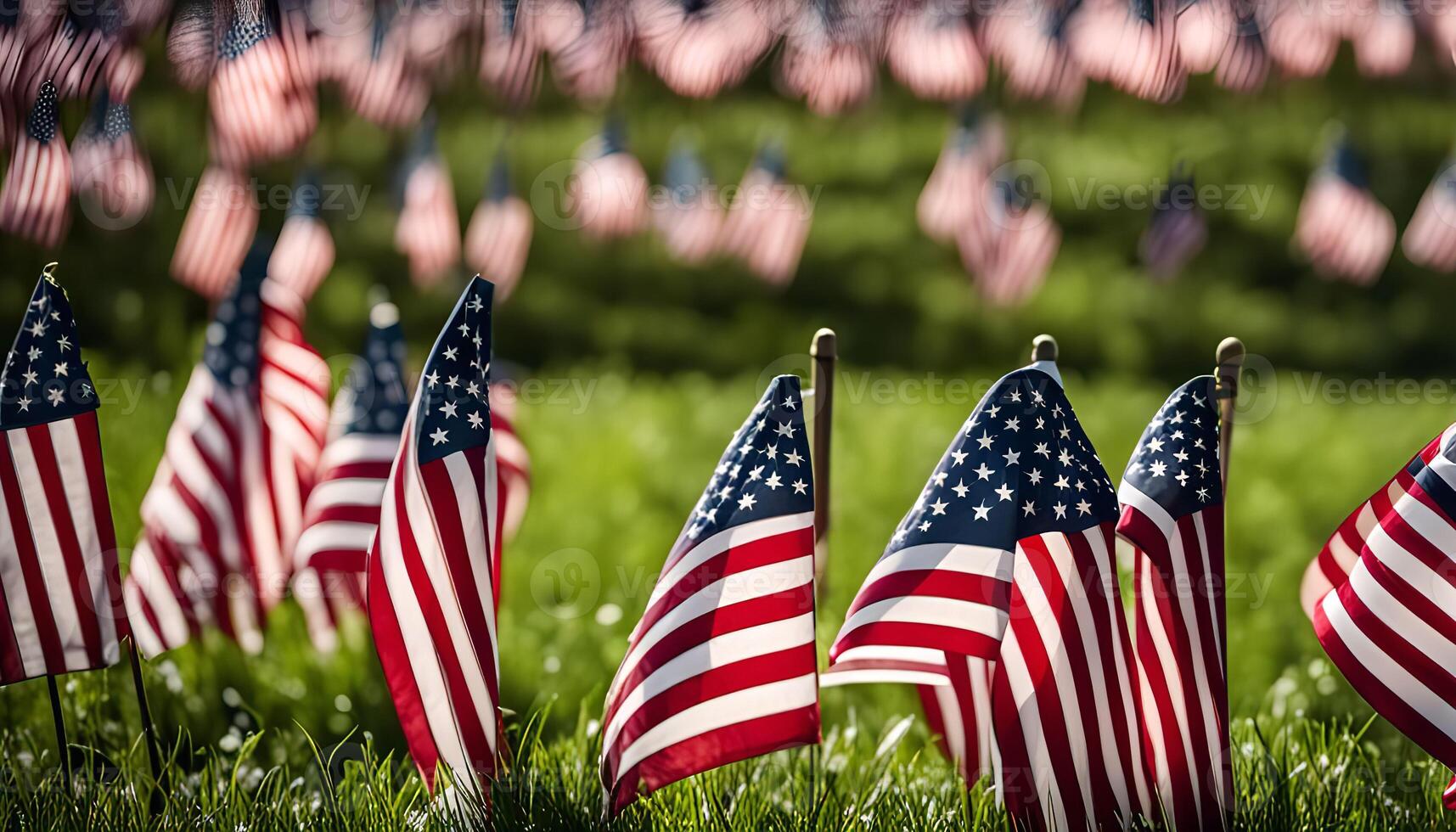 Field of Flags photo