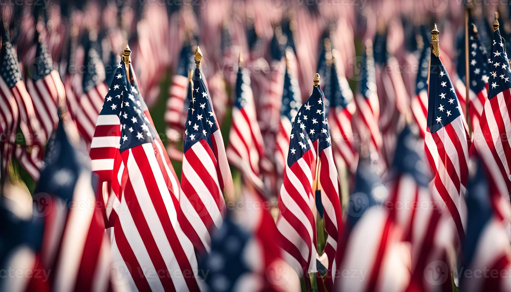 Field of American Flags photo