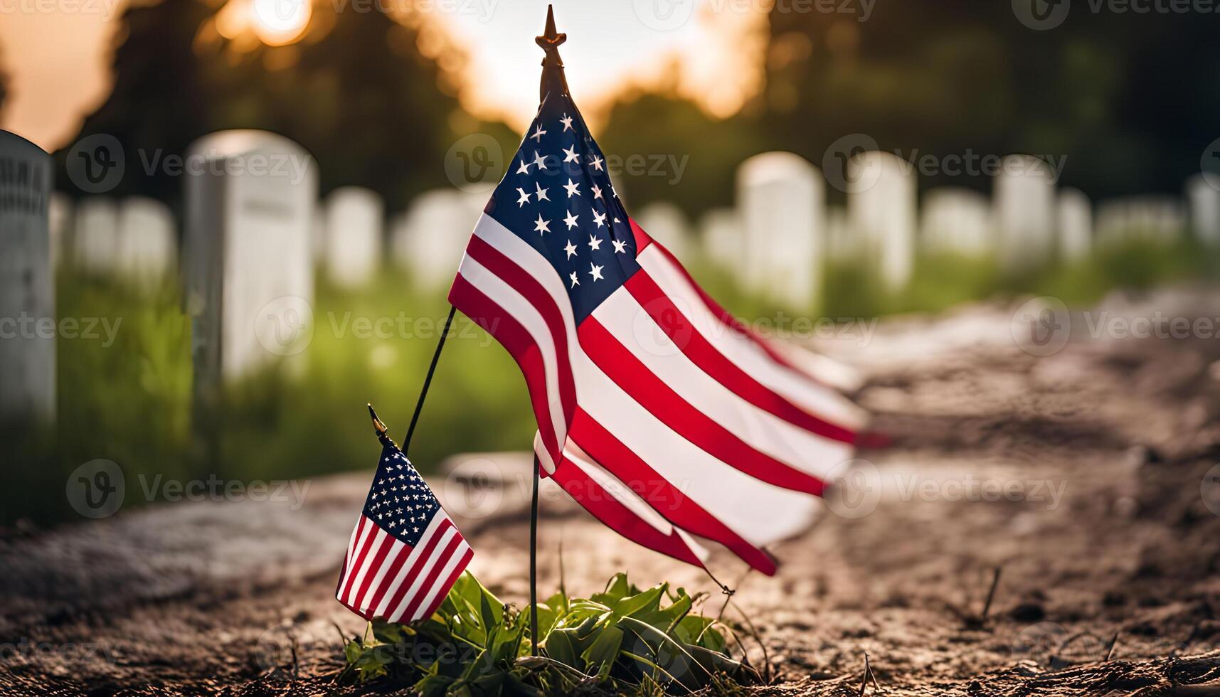 American Flags at a Cemetery photo