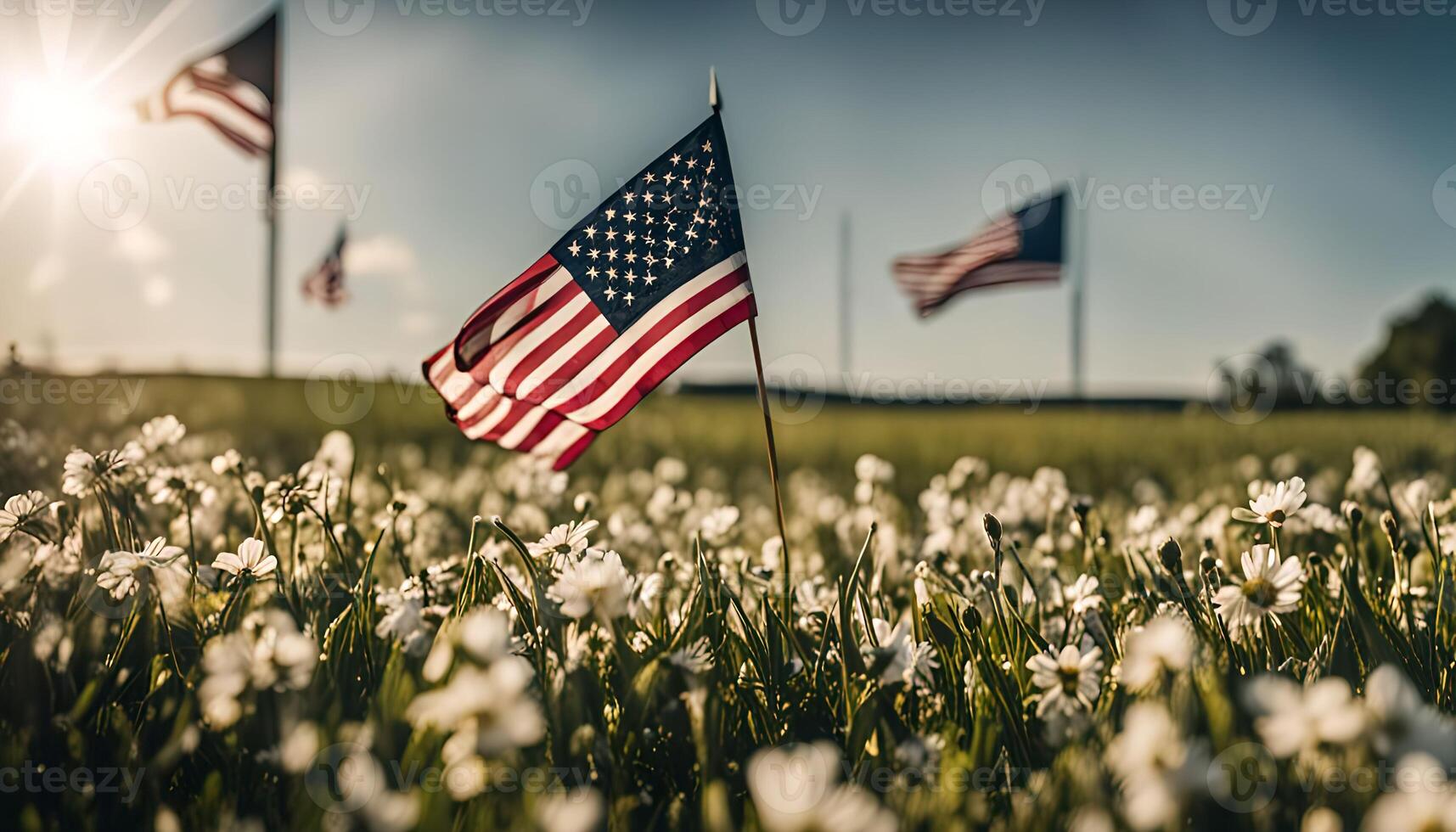 Patriotic Field of Daisies photo