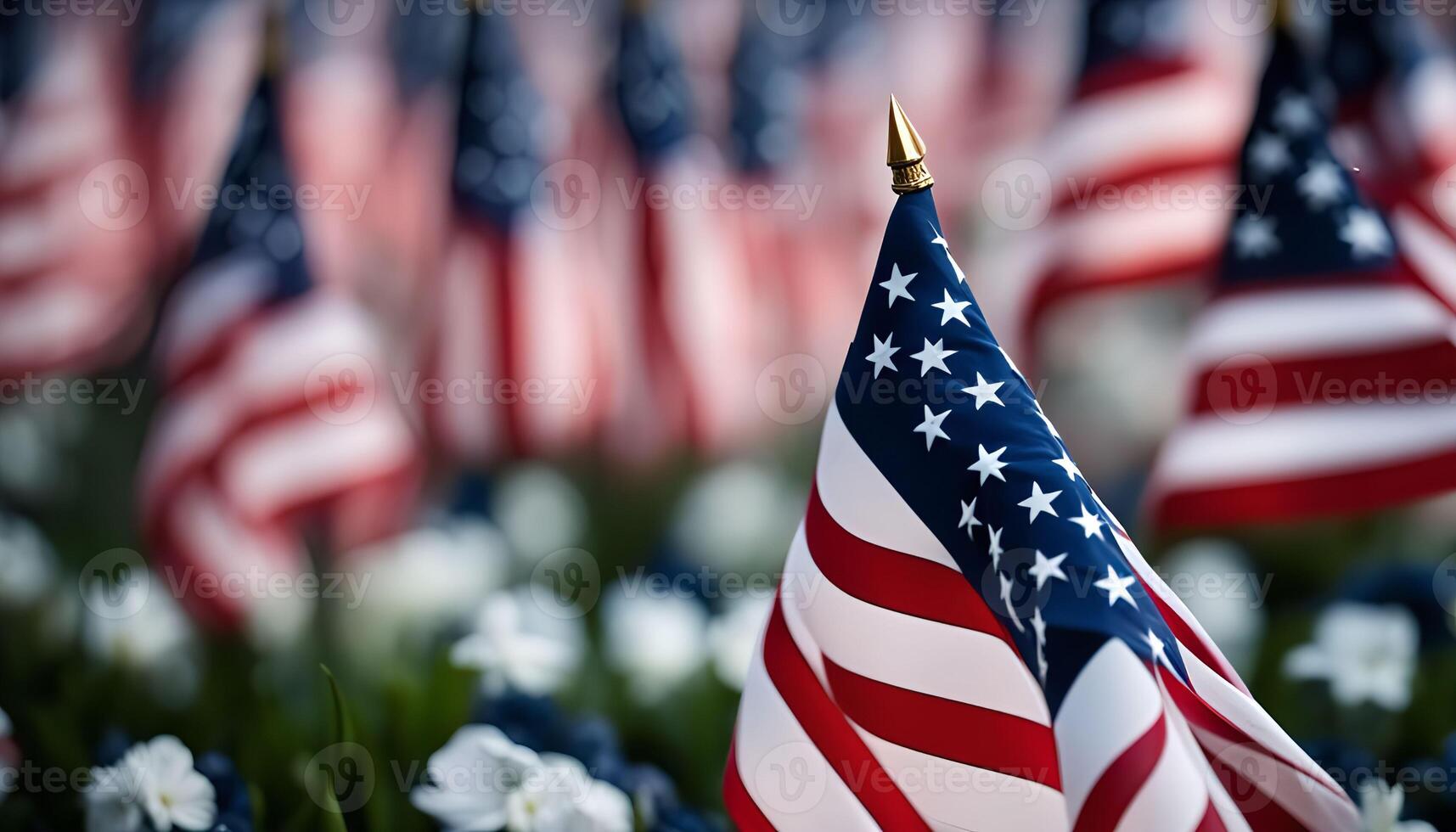 American Flags in Field photo