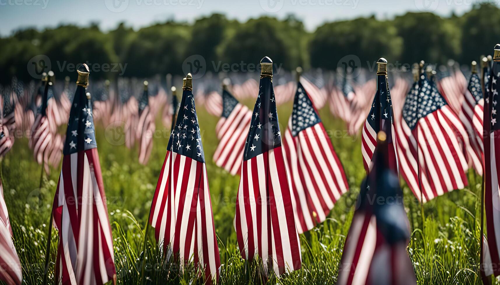 Field of American Flags photo