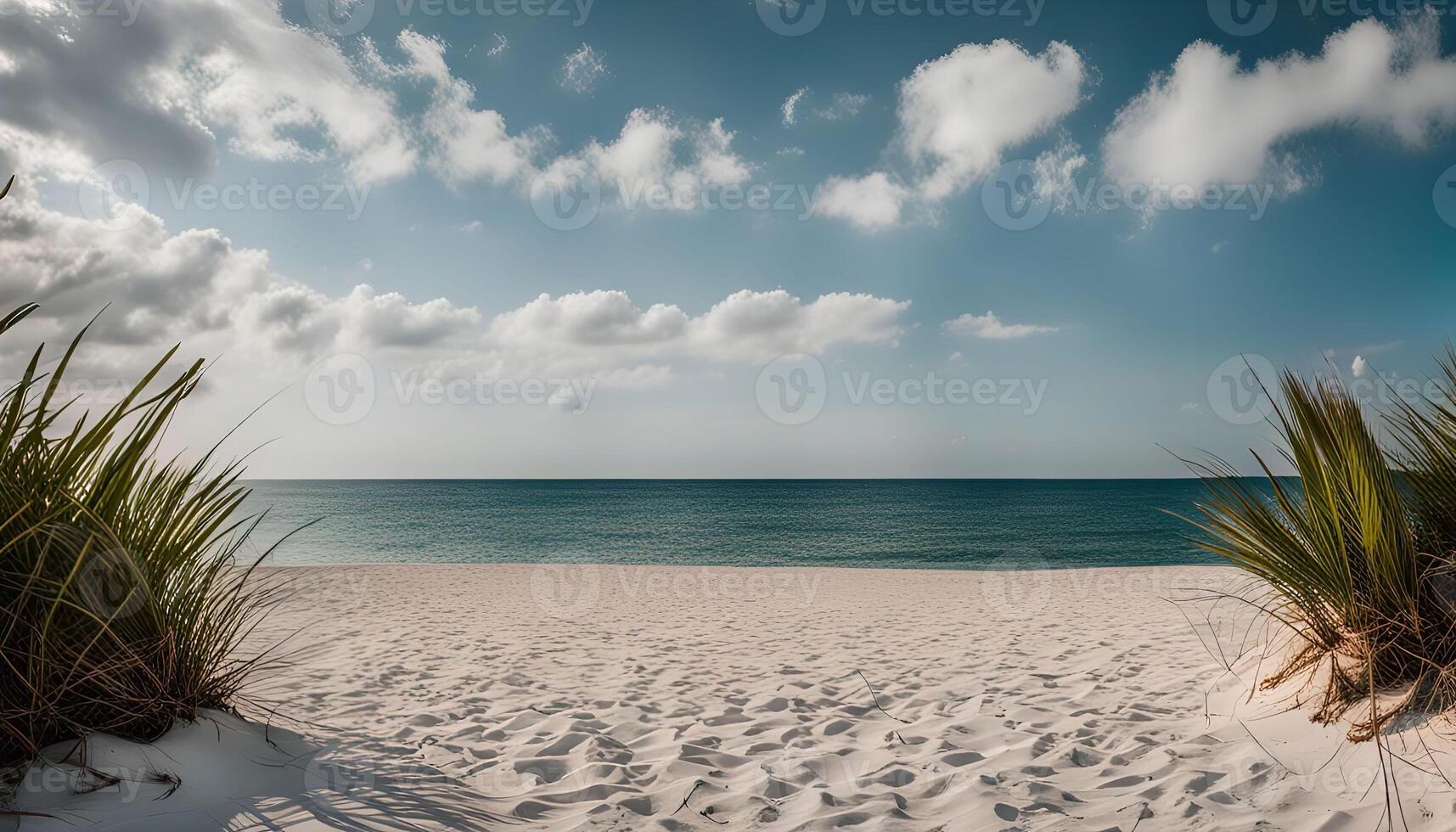 Tranquil Beachscape sea photo