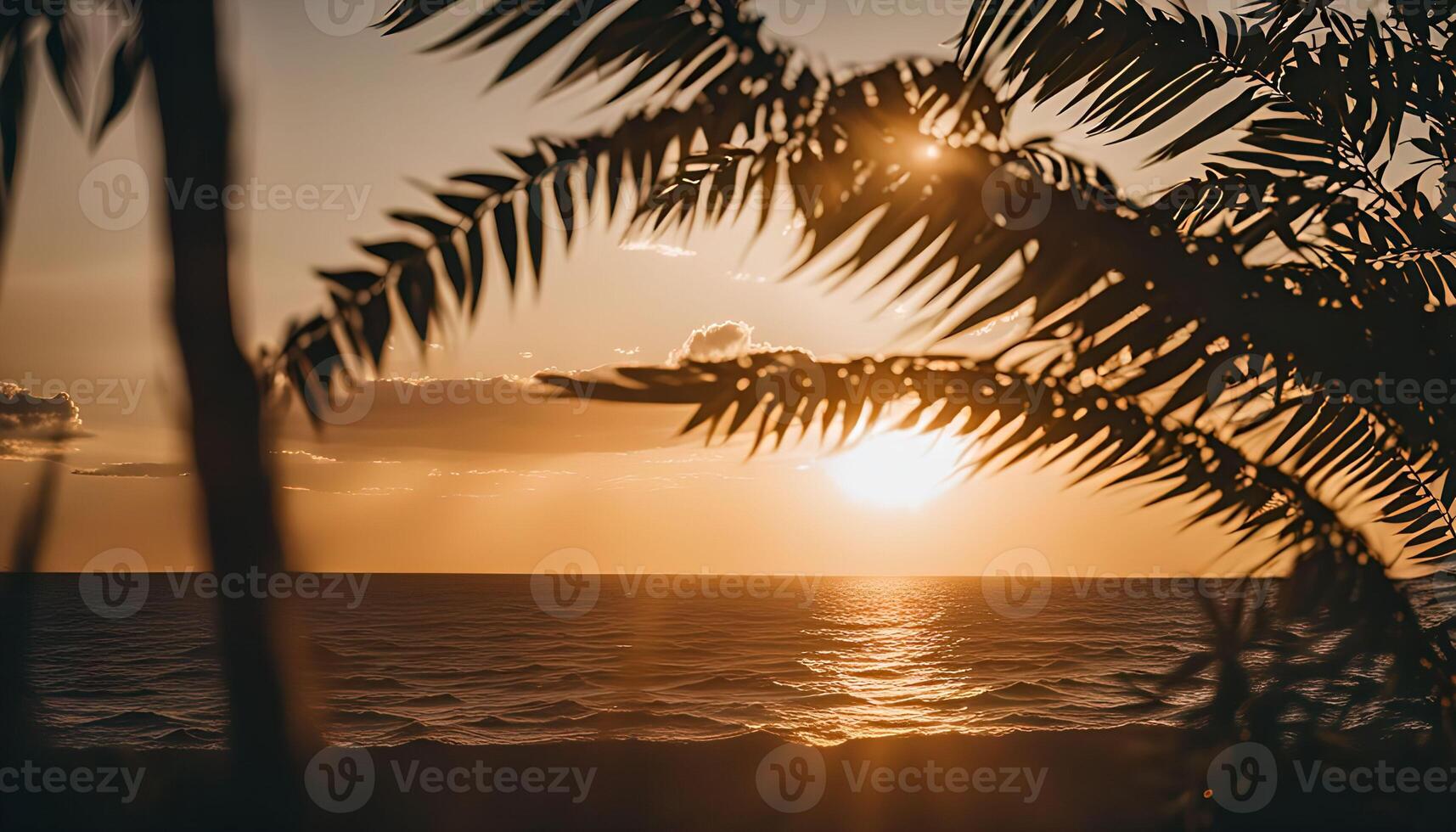 Sunset View Through Palm Leaves photo