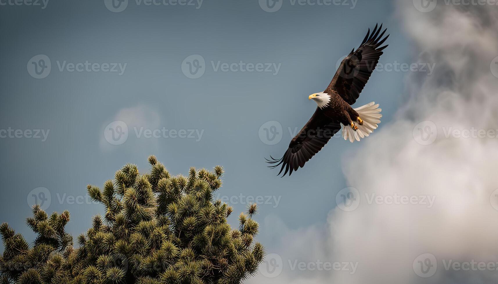 Bald Eagle Soaring Through the Clouds photo