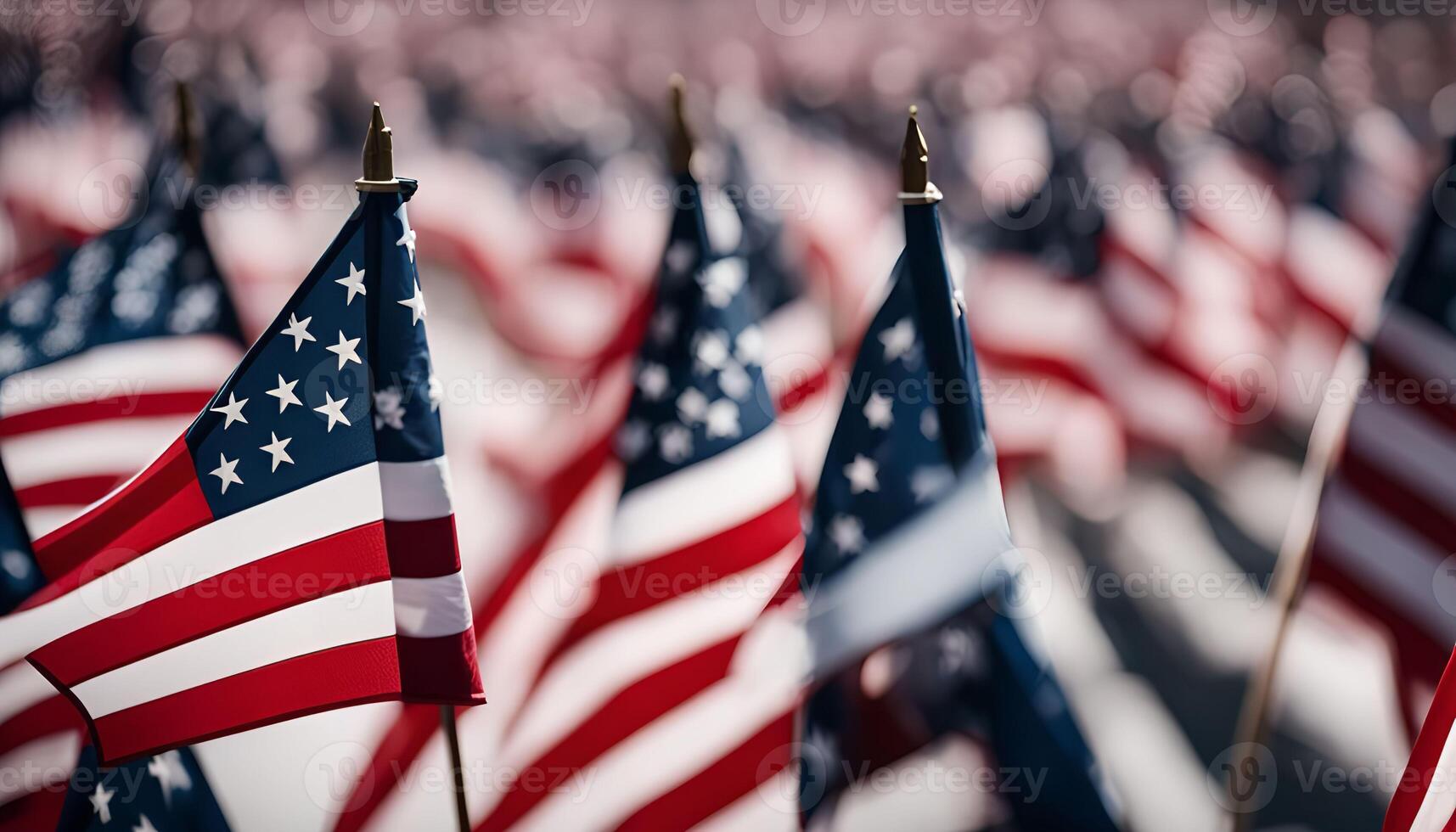 American Flags photo