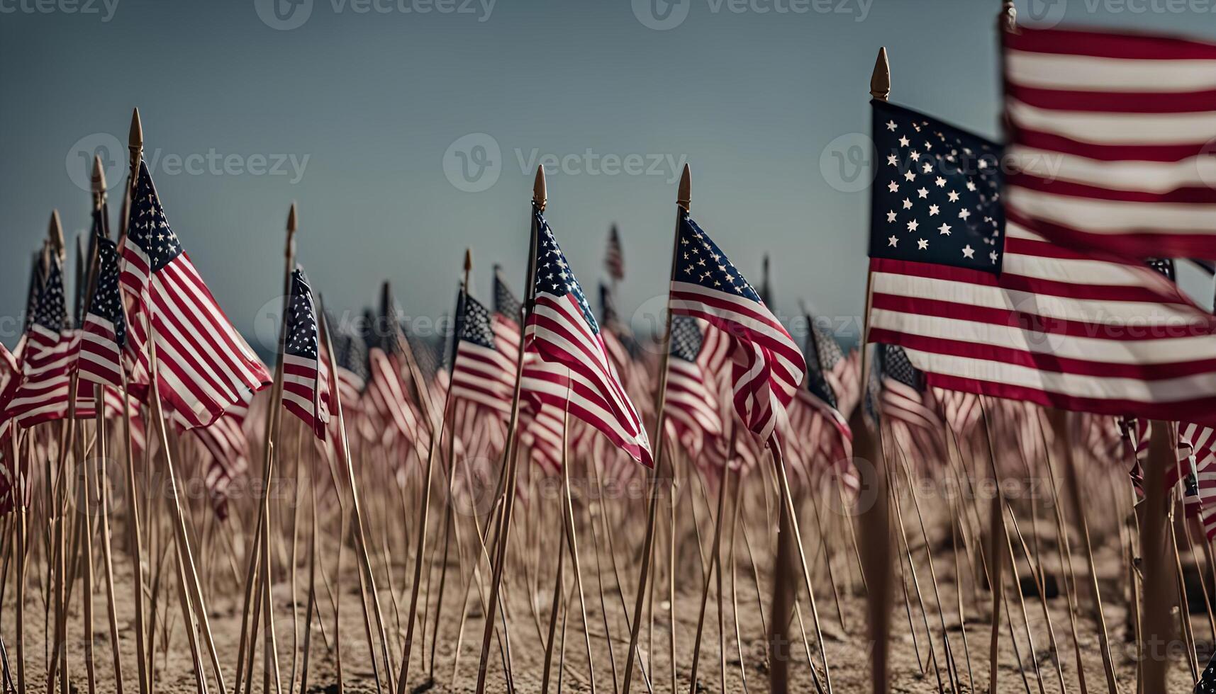 Field of American Flags photo