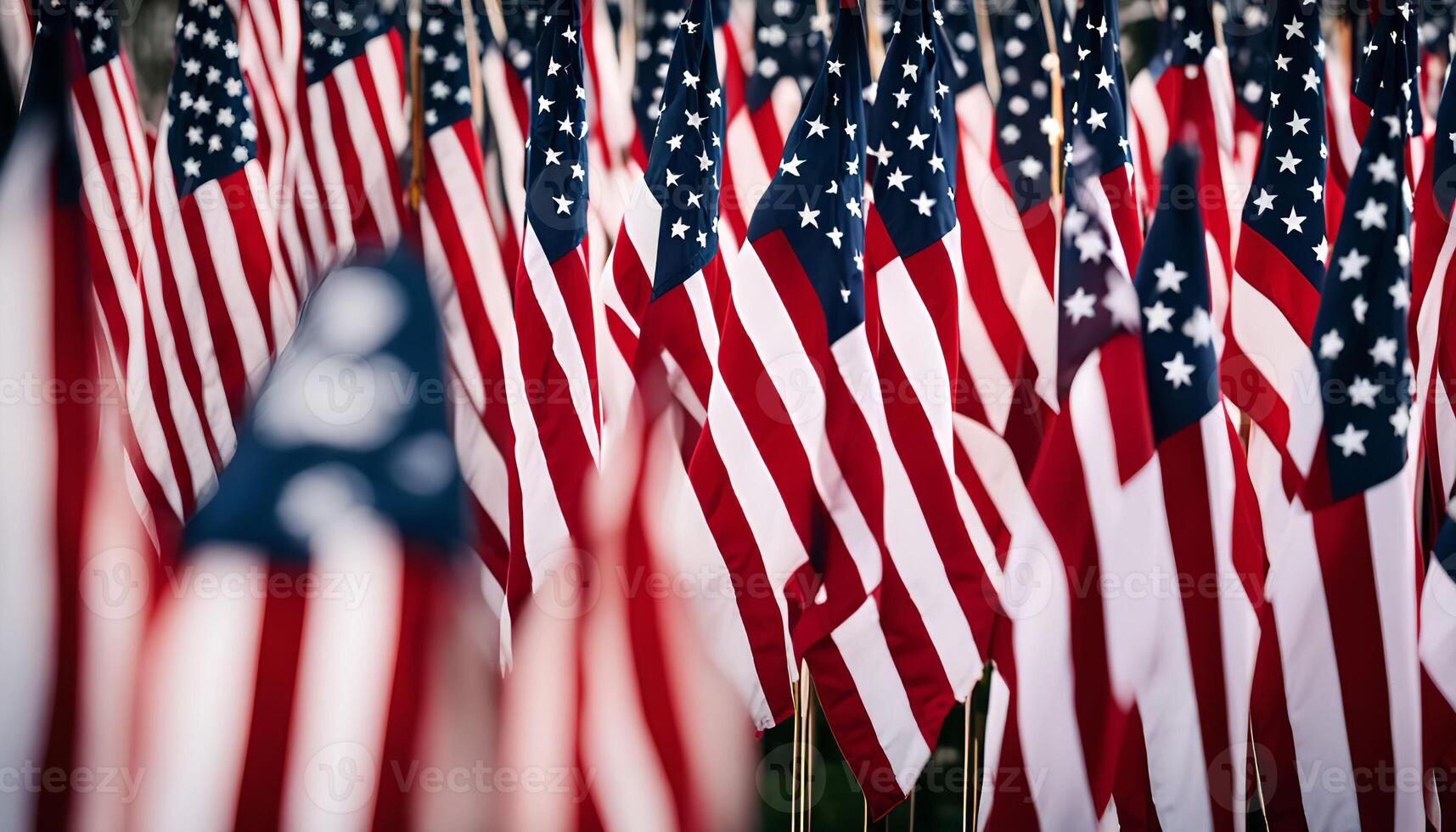 Field of American Flags photo