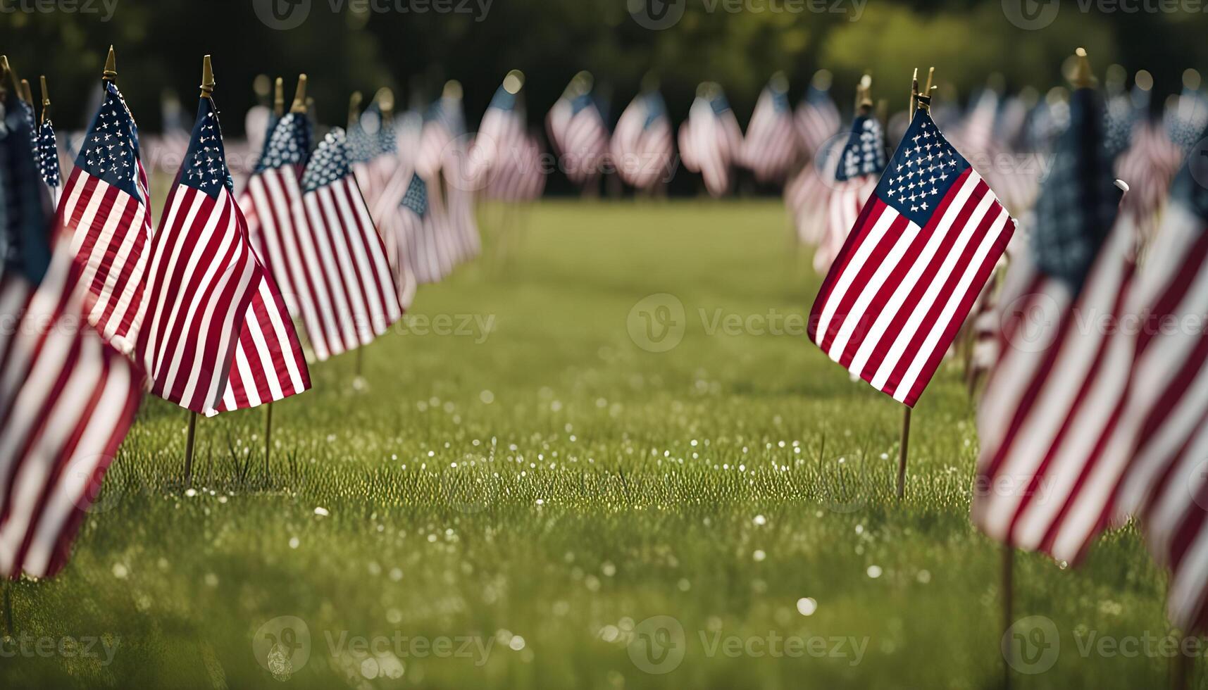American Flags in a Field photo