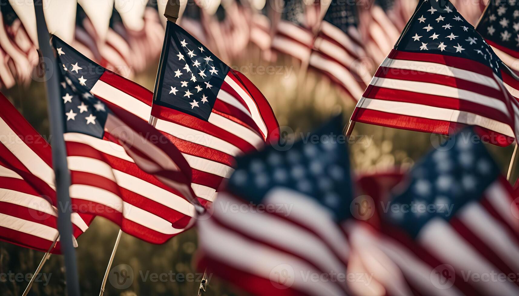 A Field of American Flags photo