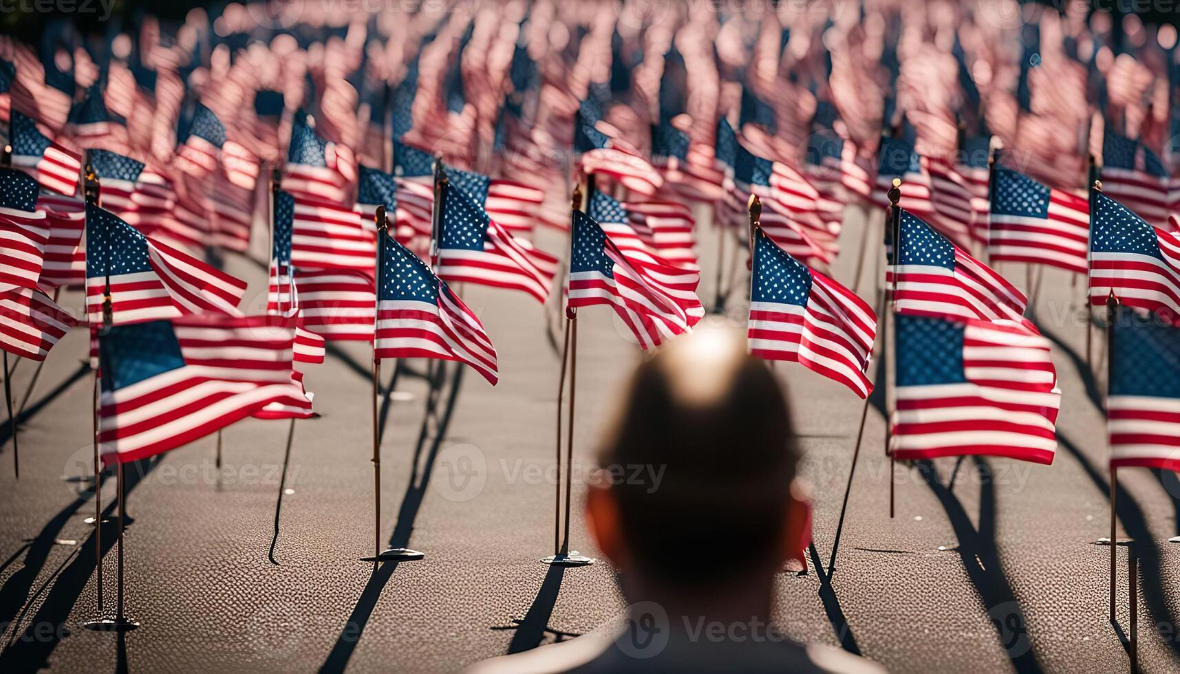American Flags Field photo