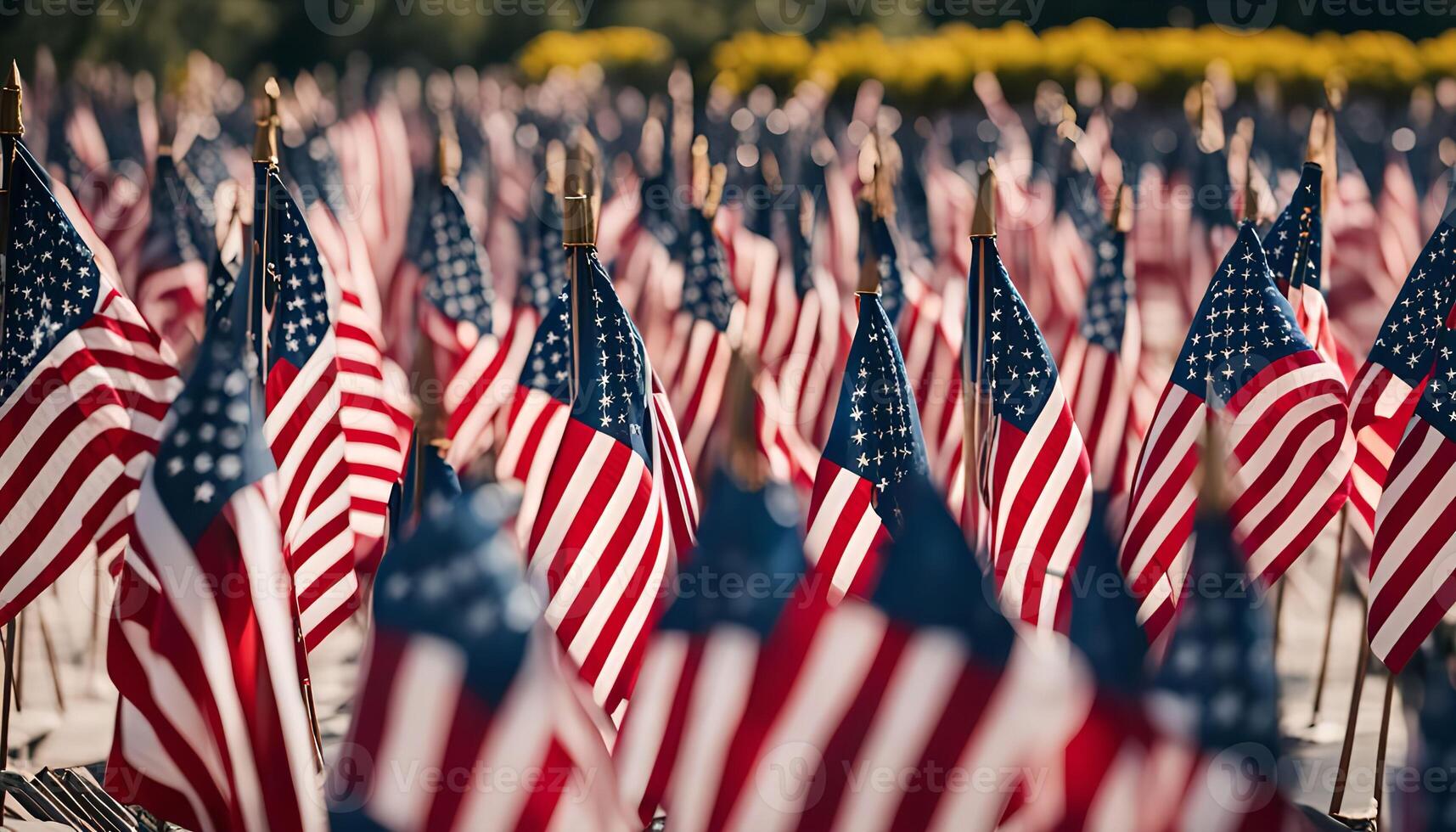 American Flag Field photo