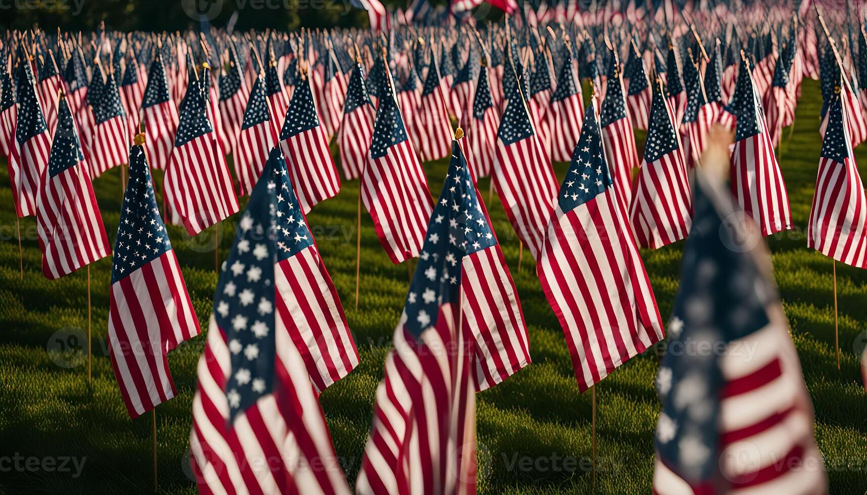 American Flags in a Field photo