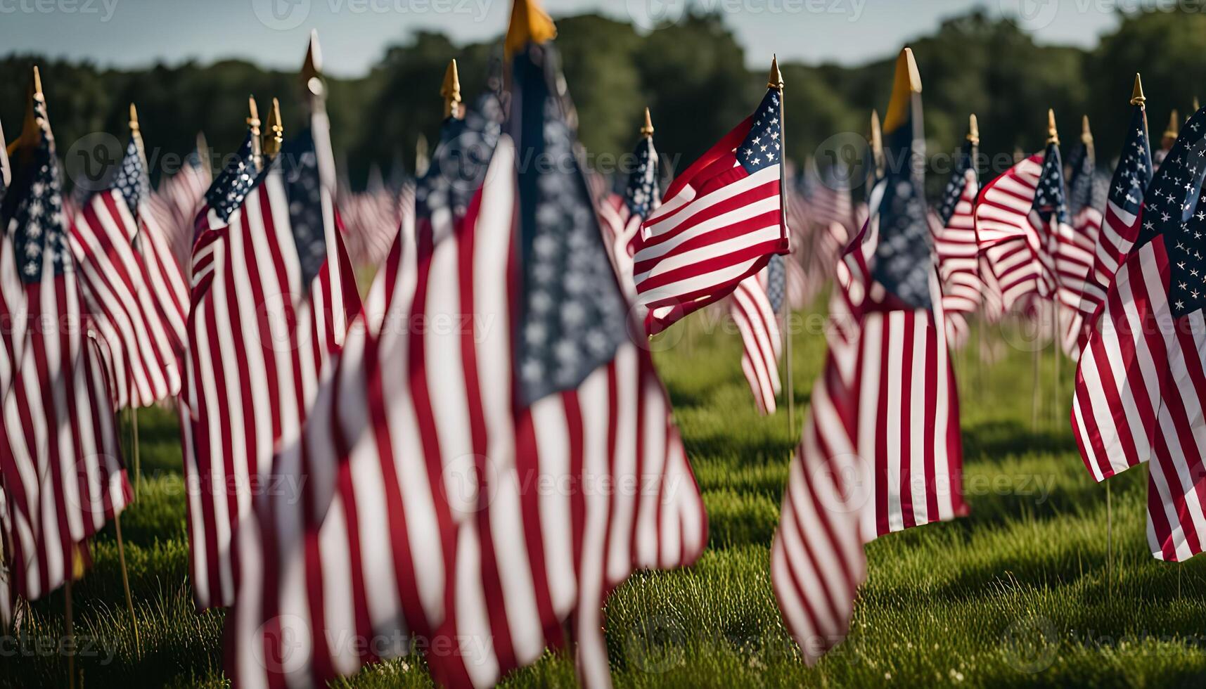 Field of American Flags photo