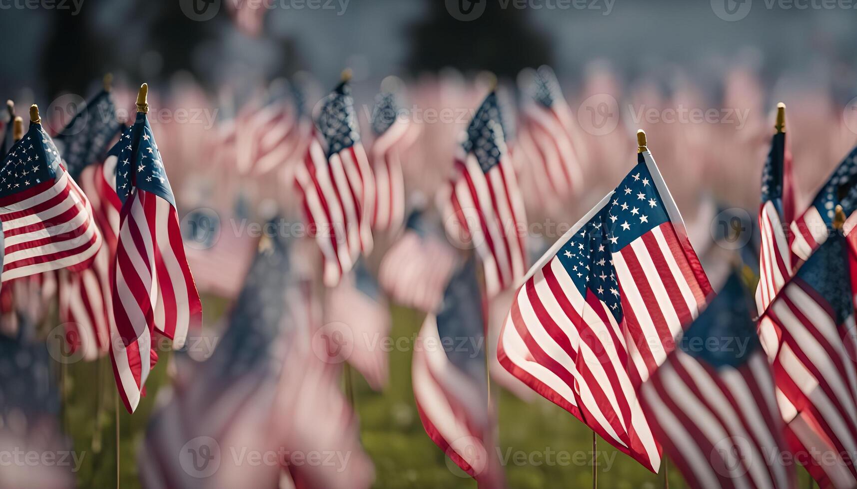Field of American Flags photo