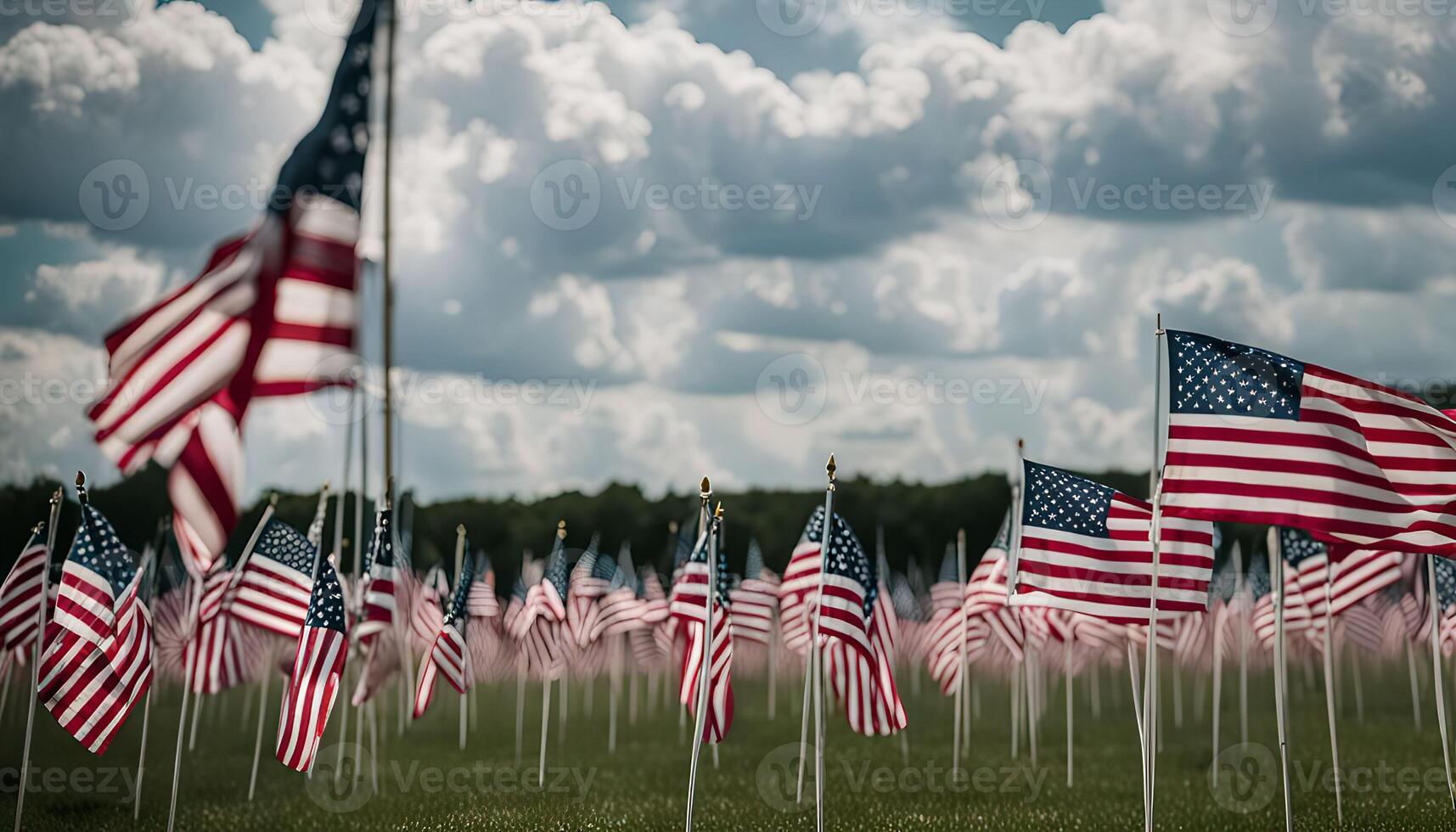 American Flags in Field photo