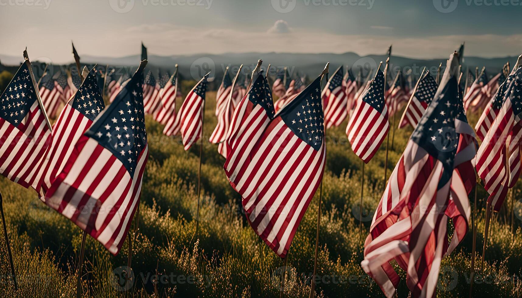 Field of American Flags photo