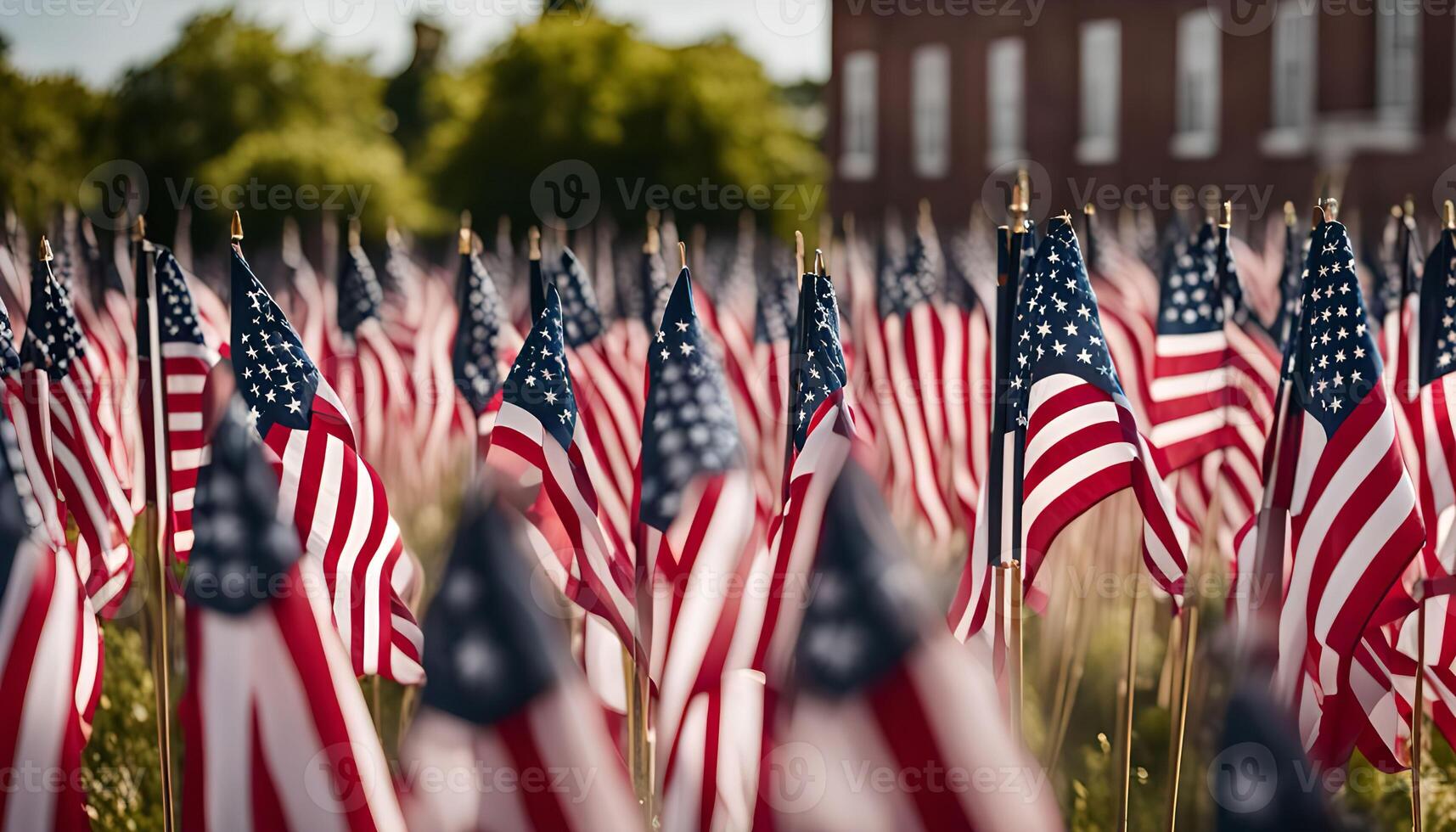 Field of American Flags photo