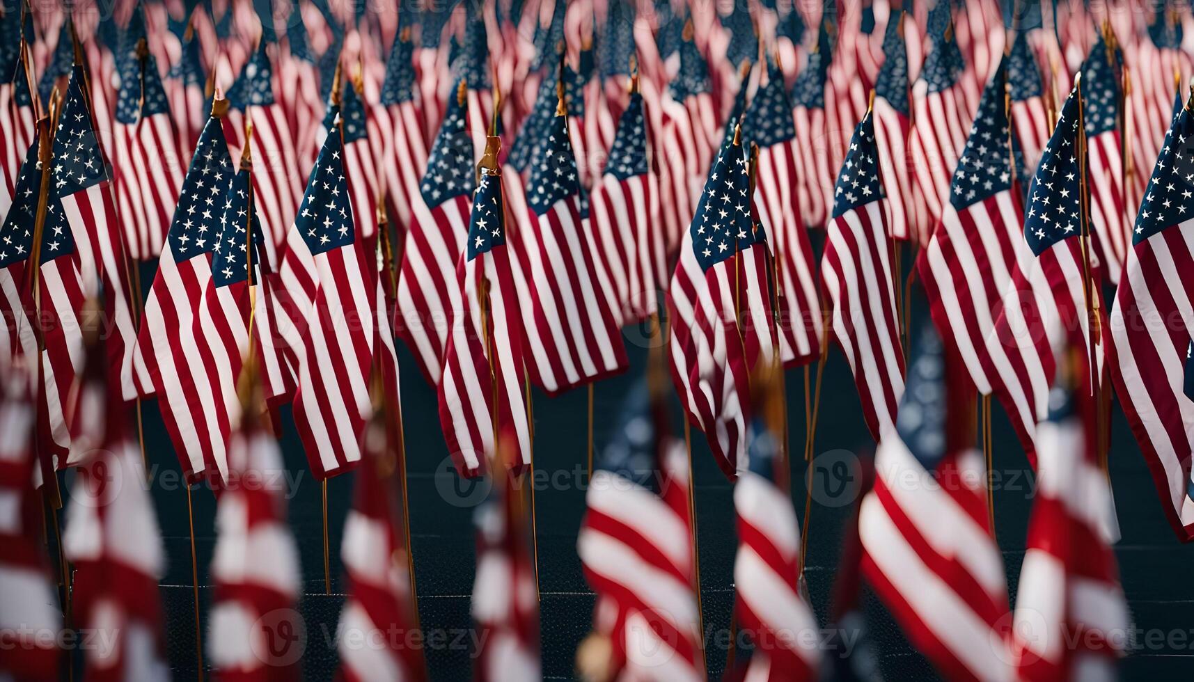 A Field of American Flags photo