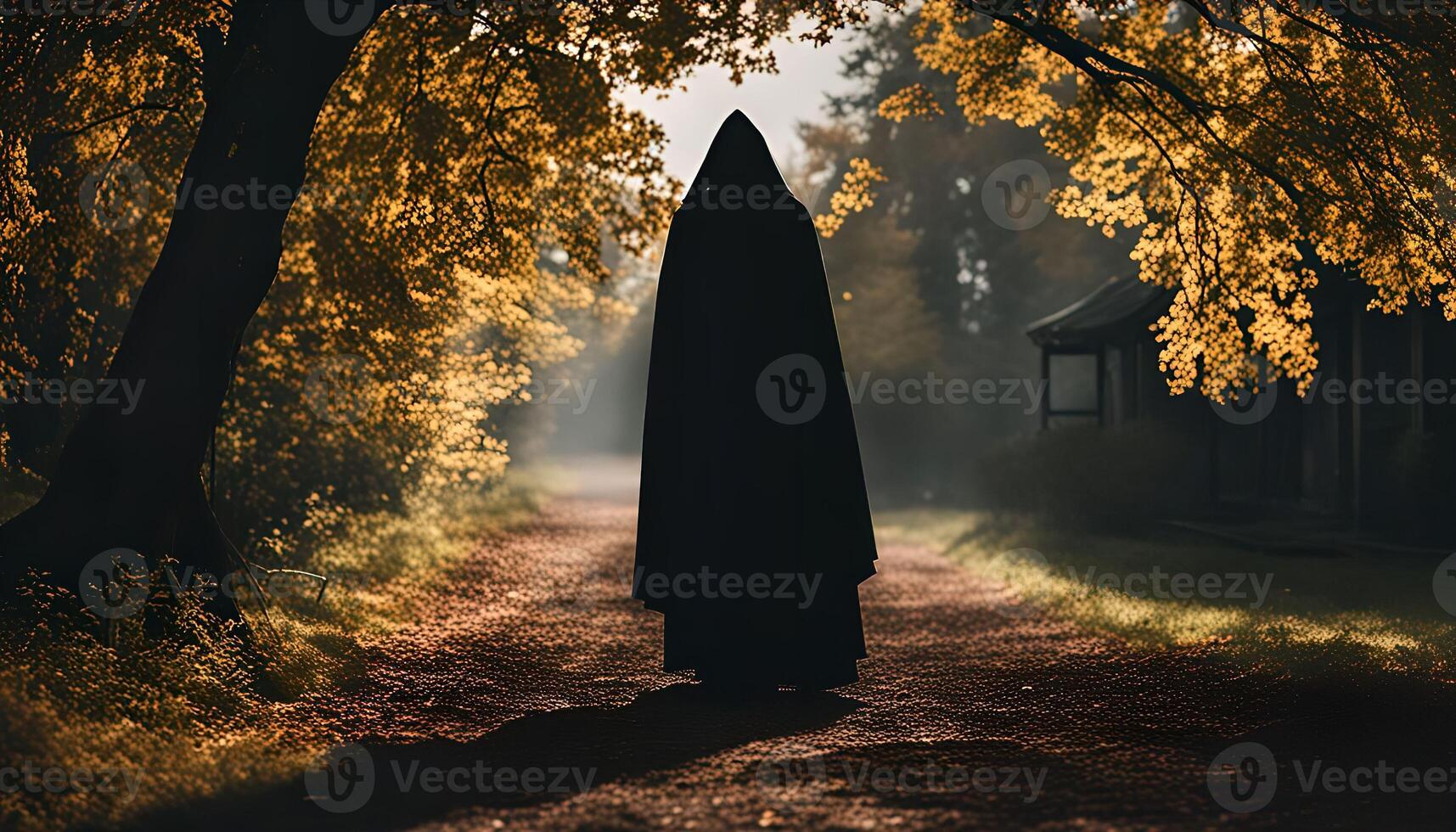 Mysterious Figure in a Forest Path photo