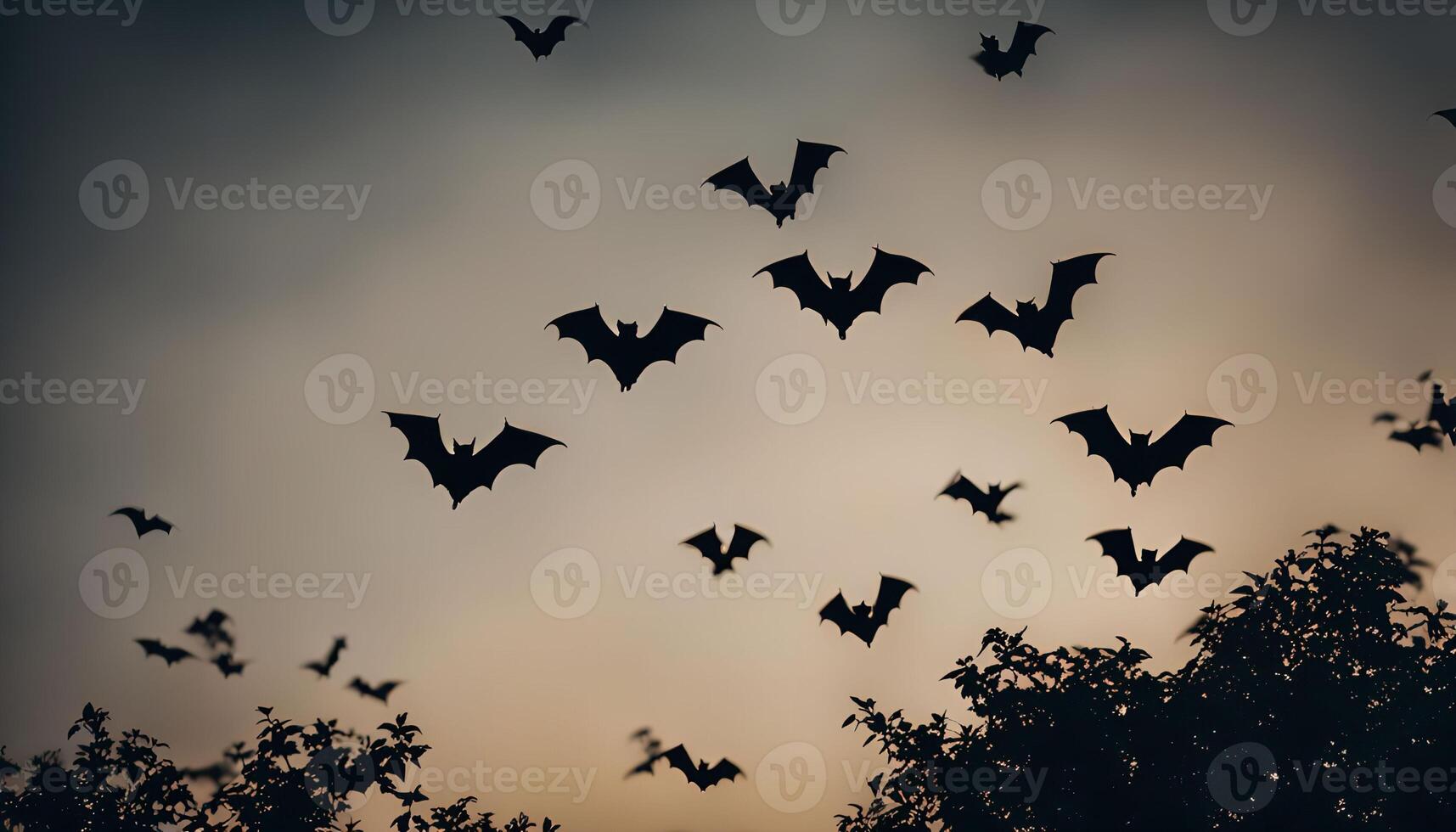 Bats Flying in the Twilight photo