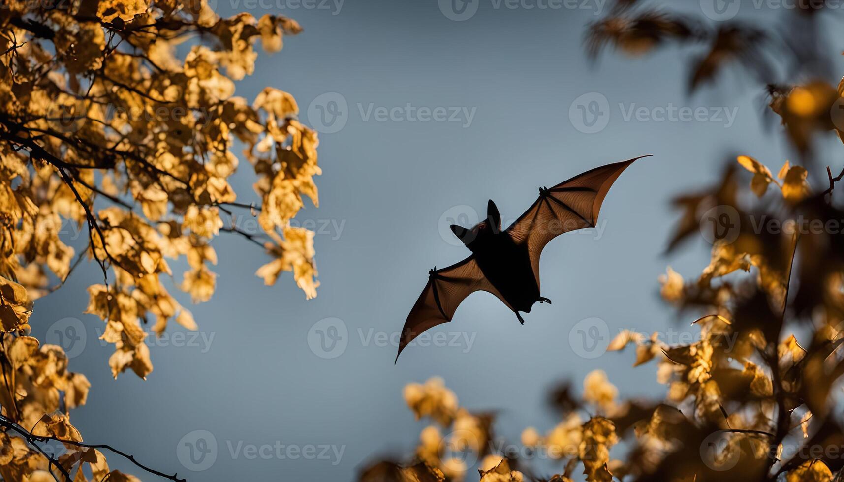 Silhouette of a bat flying in the blue sky with golden leaves photo
