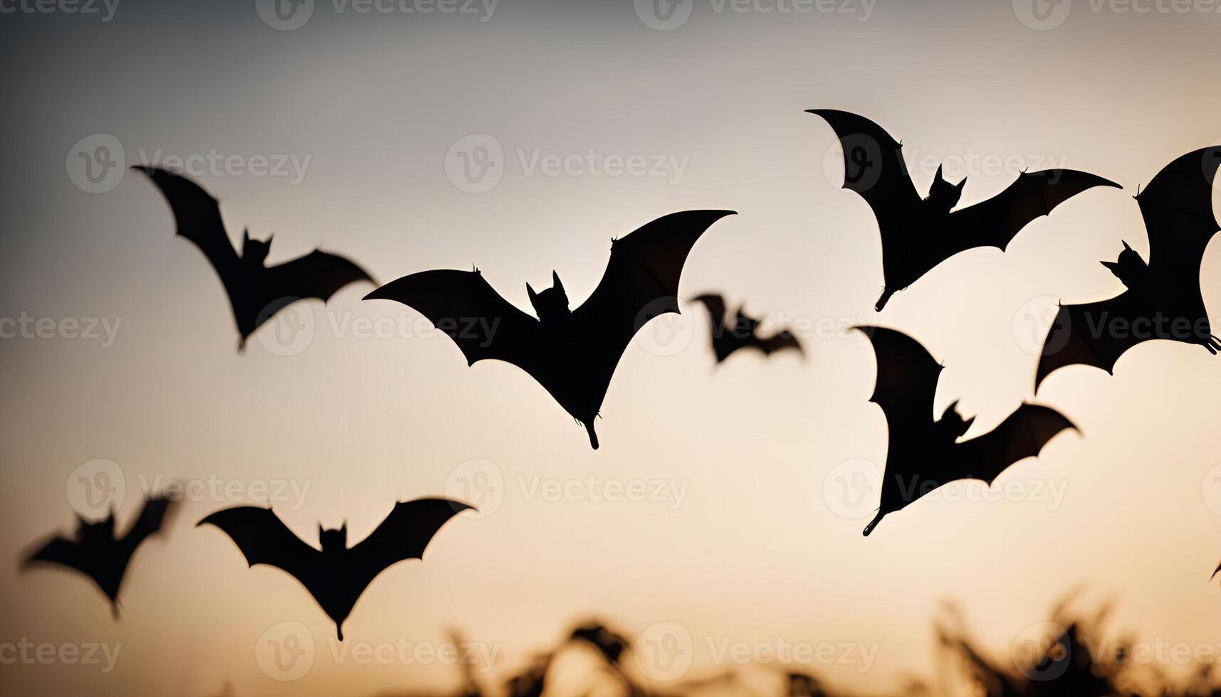 Silhouettes of Bats Flying in Sunset Sky photo