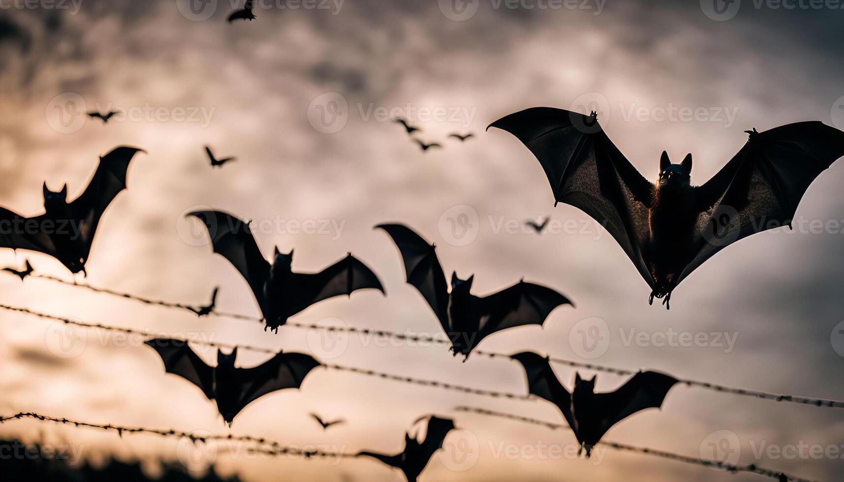 Bats Flying in the Twilight photo