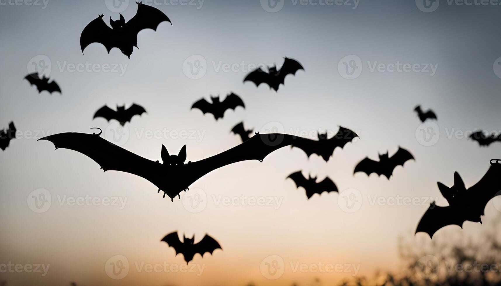 Silhouettes of Bats Flying Against a Sunset Sky photo
