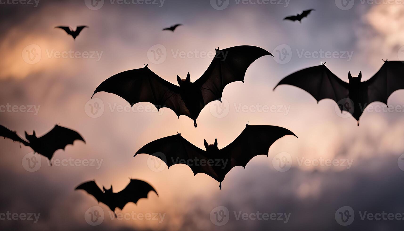 Bats Flying Against a Cloudy Twilight Sky photo