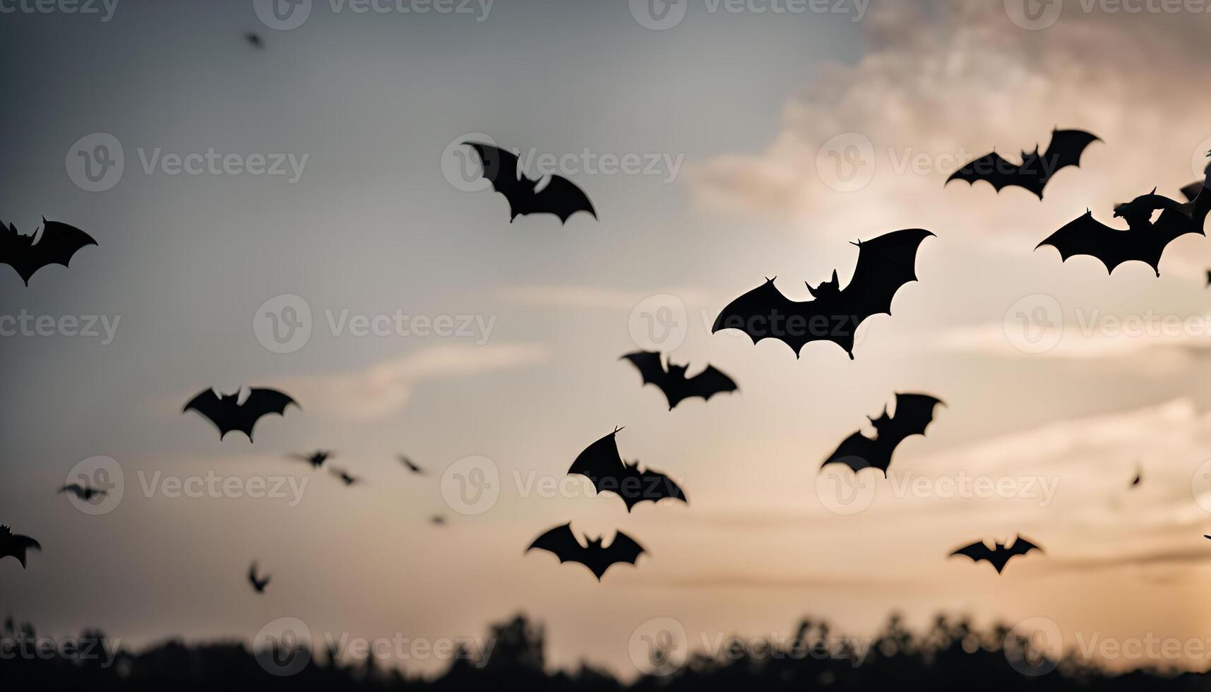 Bats Flying at Sunset photo
