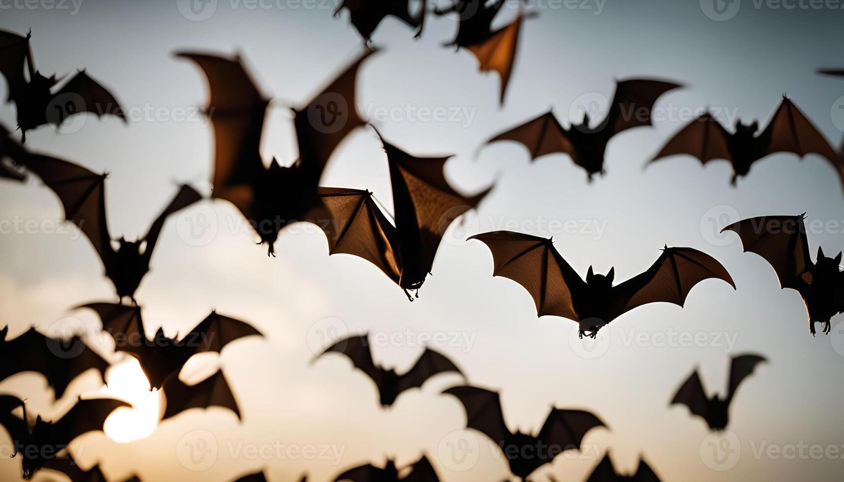 Bats Flying at Sunset photo