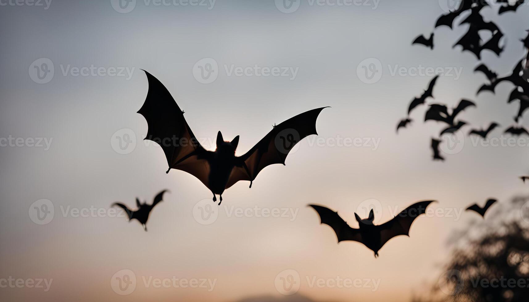Bats in Flight Against a Sunset Sky photo