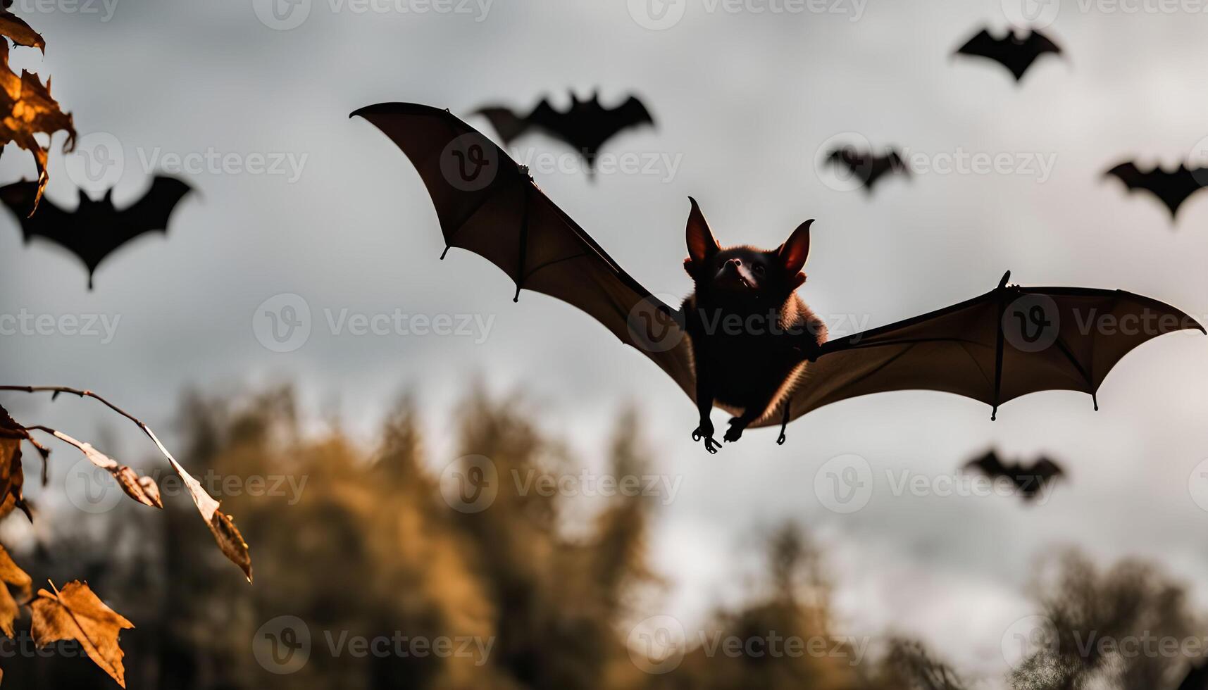 Bat in Flight, a Dark Silhouette Against Cloudy Sky photo