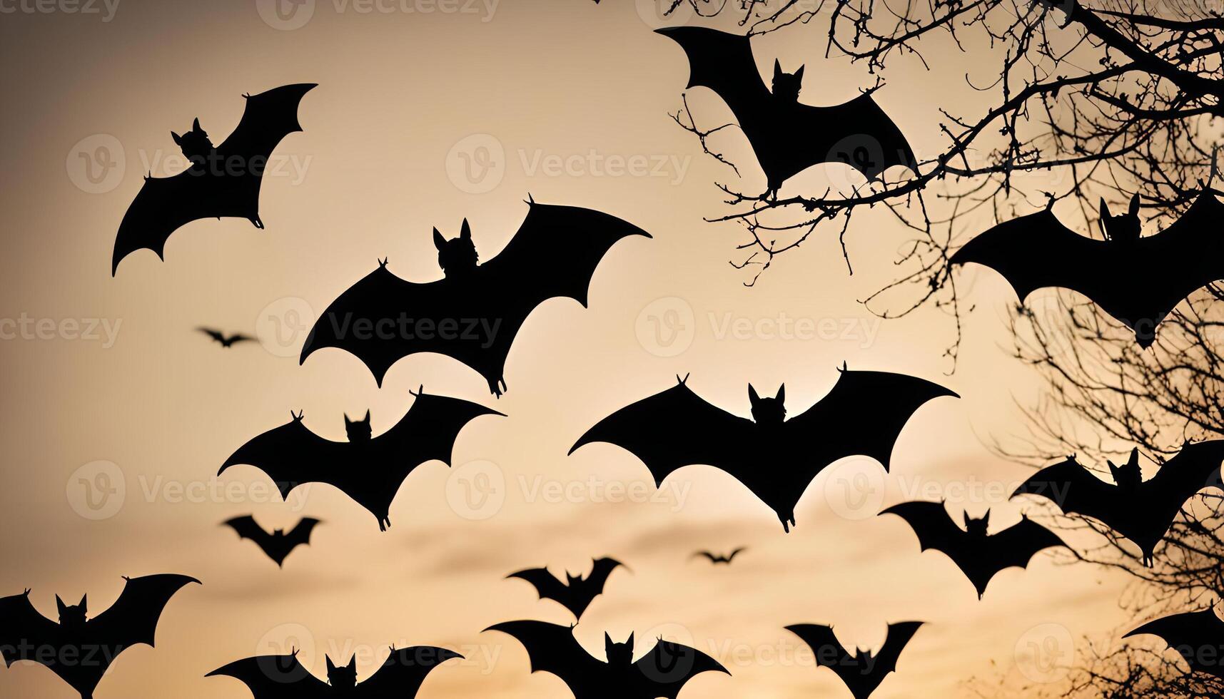 Bats Flying at Dusk photo