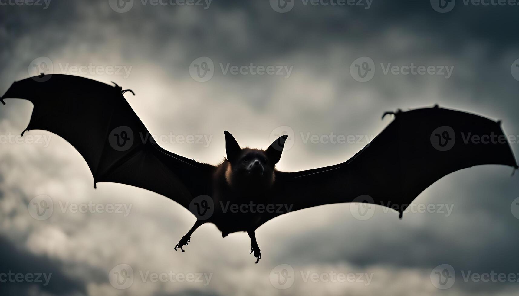 Bat in Flight photo