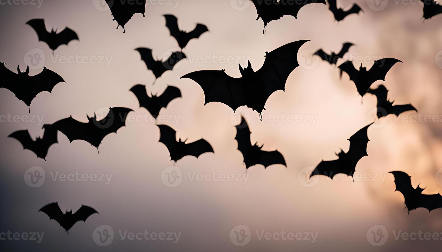 Bats Flying at Sunset photo